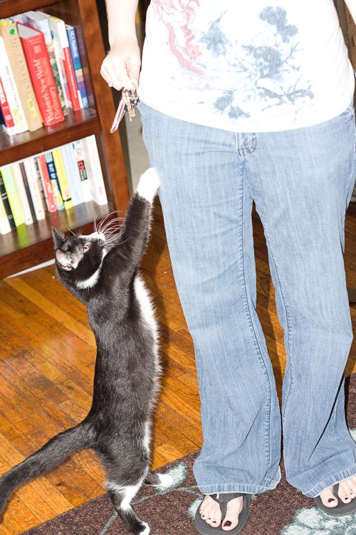 Misha_2008-08-24_IMG_1468